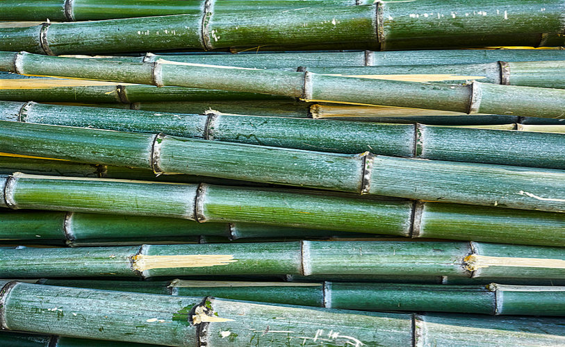 Gestapelte Bambusstangen