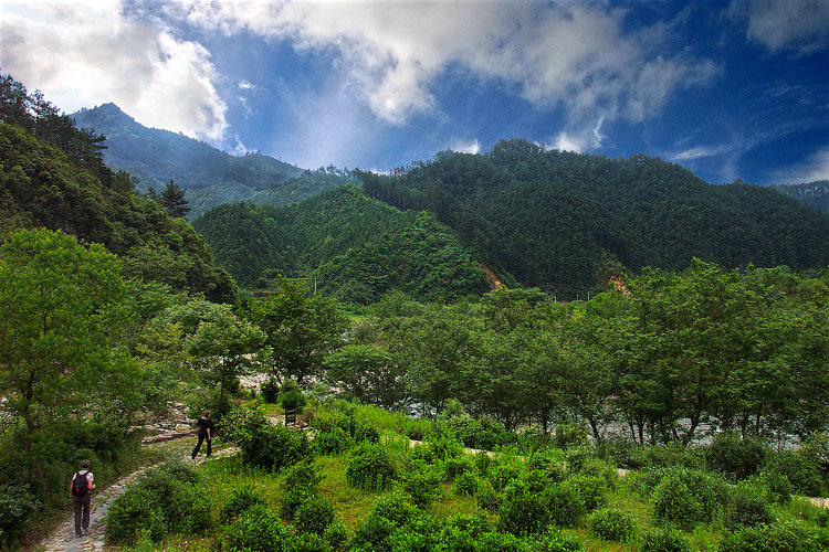 Dicht bewaldete Hügel rings um Yaoli, die frühere Tonaufbereitungsstätte der kaiserlichen Werkstätten Jingdezhens.